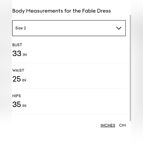 the fable mini dress - Picture 3 of 3